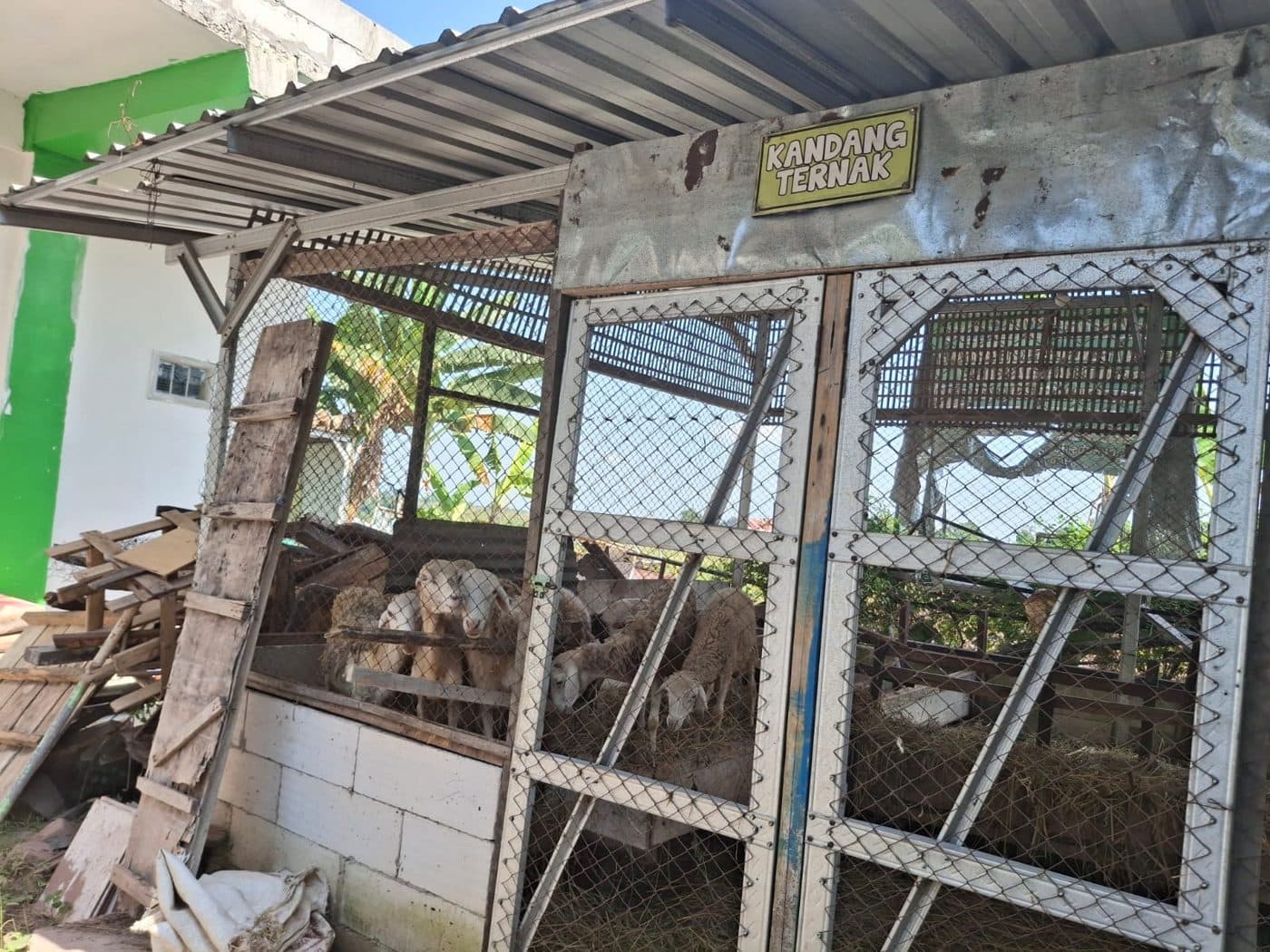 Kandang ternak panti